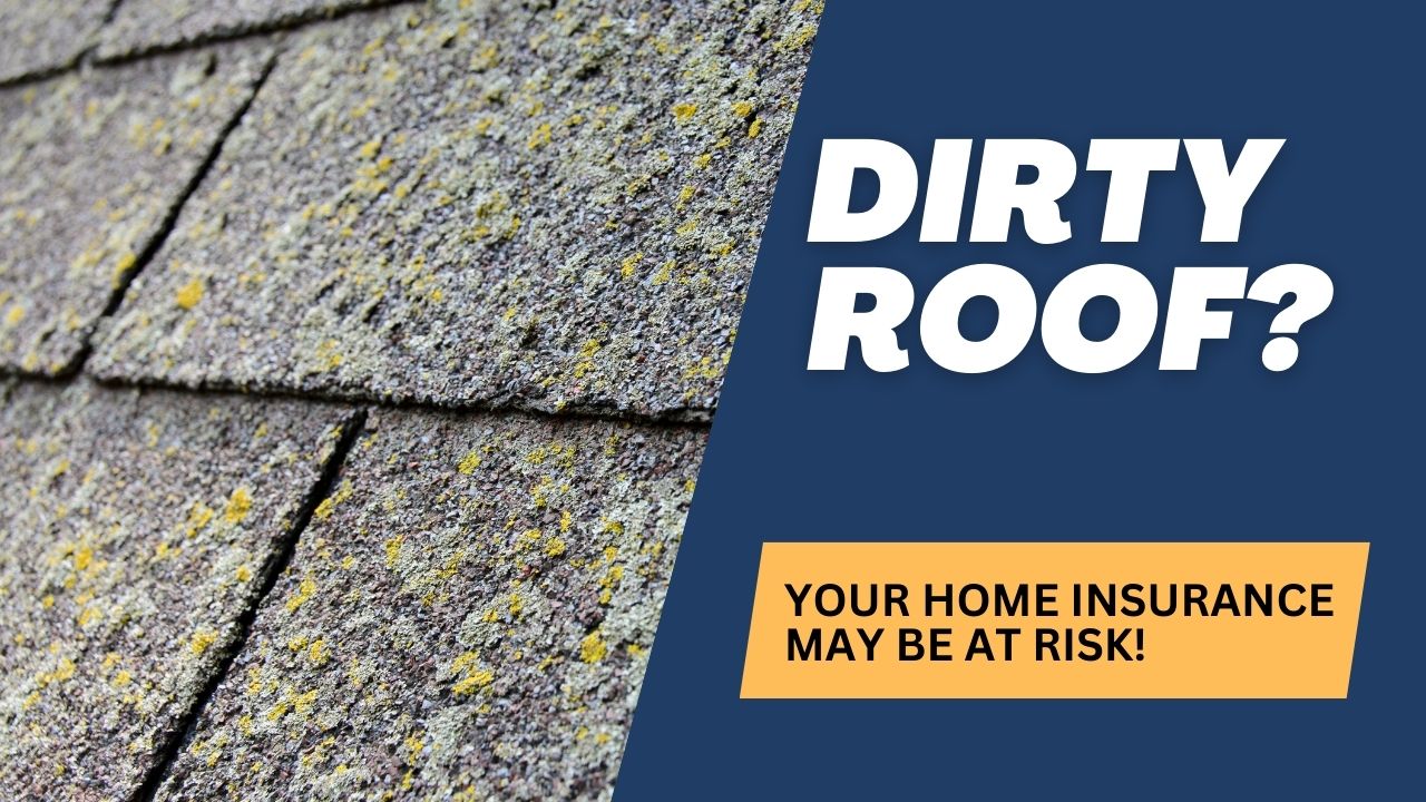 The Hidden Link Between Roof Cleanliness and Your Home Insurance: What Every San Luis Obispo Homeowner Needs to Know