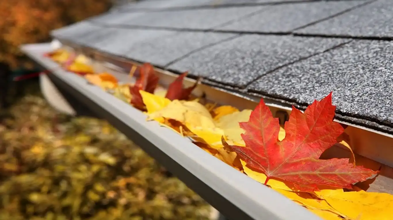 diy-vs-professional-gutter-cleaning