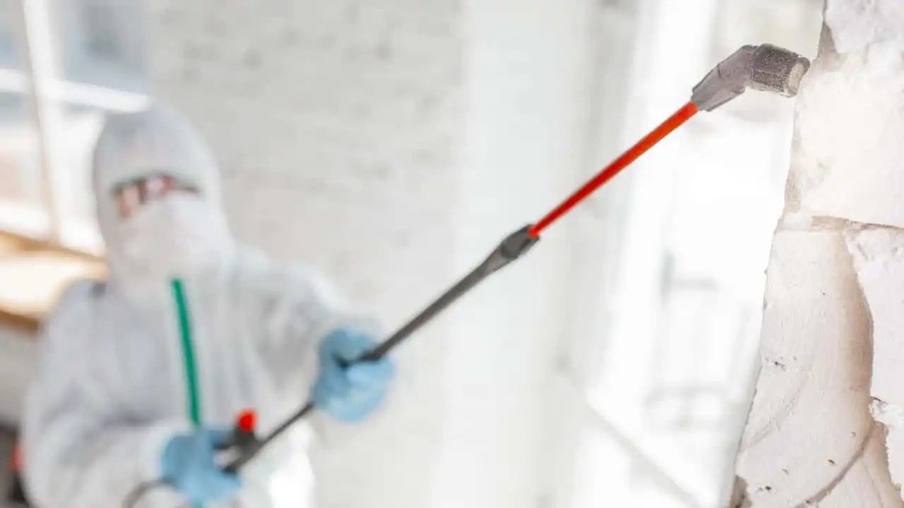 lets-talk-about-mildew-and-mold