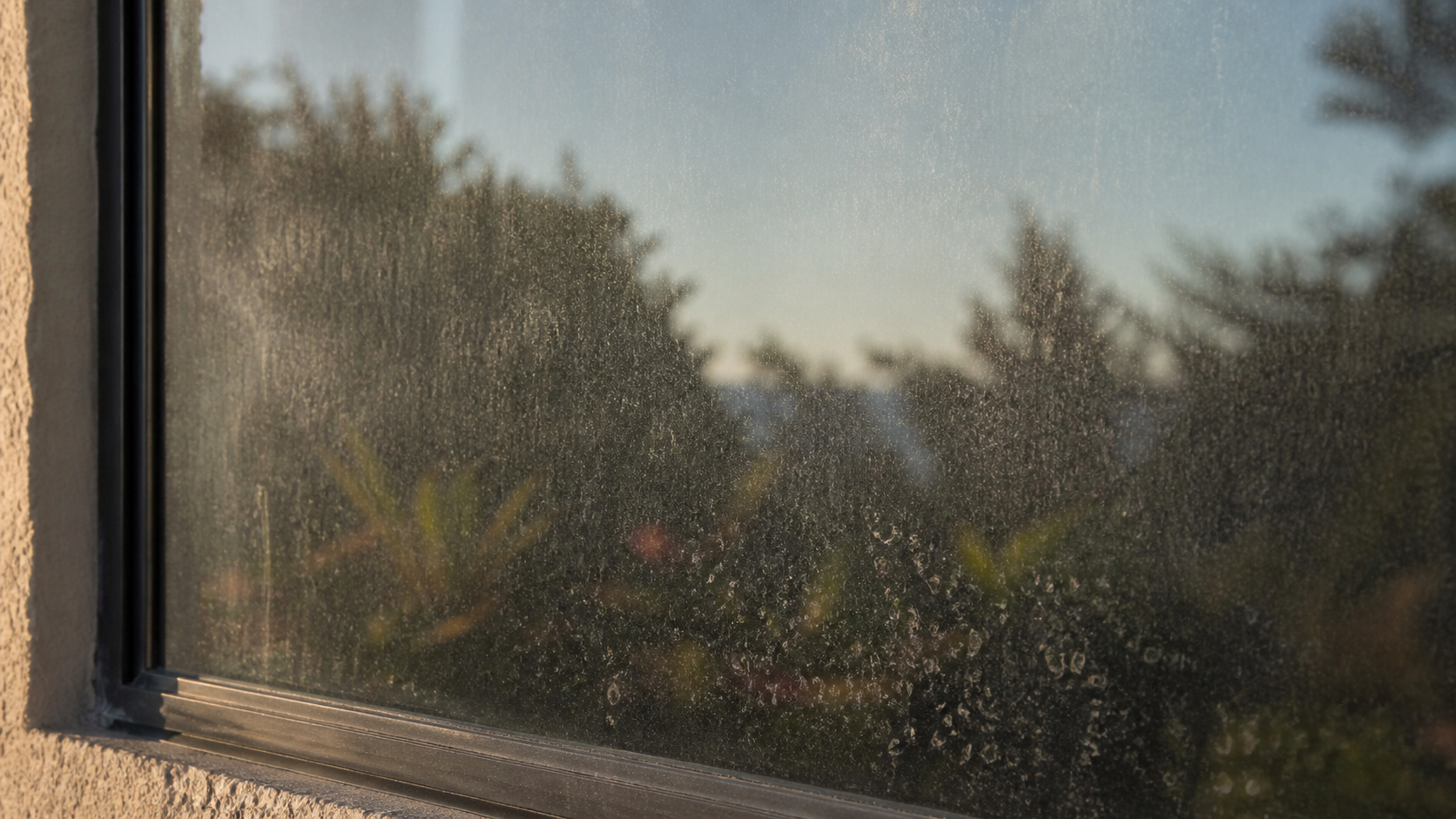 Salt Film or Hard-Water Spots? What Is Clouding Your Windows?