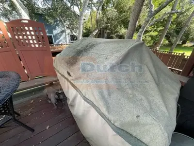 Pressure Washing - Before #14