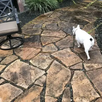 Pressure Washing - Before #15