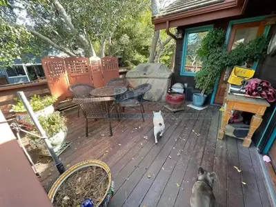 Pressure Washing - Before #16