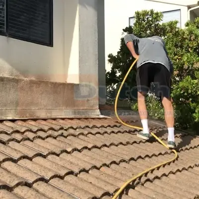 Roof Cleaning - Before #11