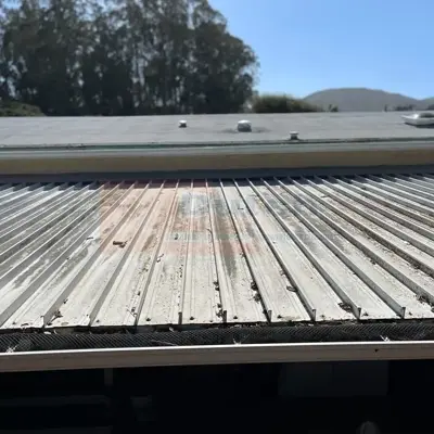 Roof Cleaning - Before #13