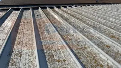 Roof Cleaning - Before #14