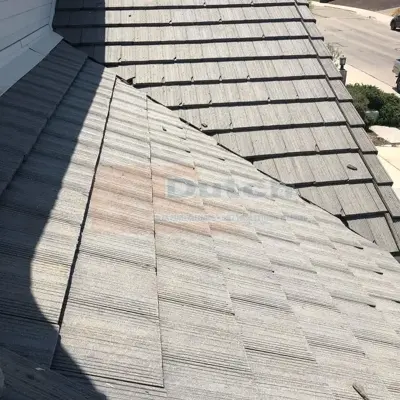 Roof Cleaning - After #15