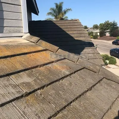 Roof Cleaning - Before #15
