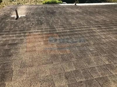Roof Cleaning - Before #17