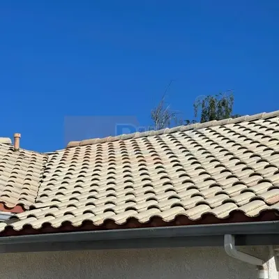 Roof Cleaning - After #18
