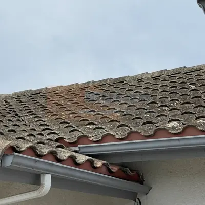 Roof Cleaning - Before #18