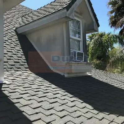 Soft Wash - Before #22