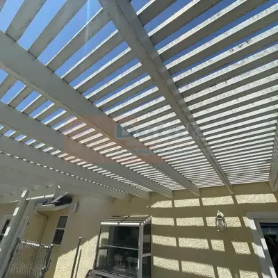 Soft Wash - Before #27