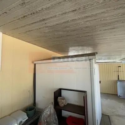 Soft Wash - Before #29