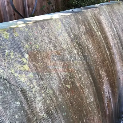 Soft Wash - Before #32