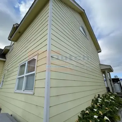 Soft Wash - Before #33