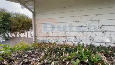 Soft Wash - Before #36