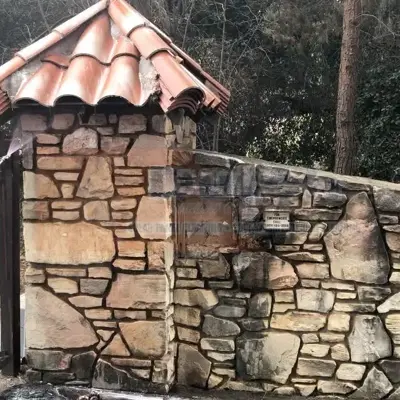 Soft Wash - Before #43