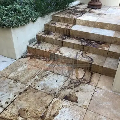 Soft Wash - Before #45