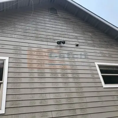 Soft Wash - Before #47