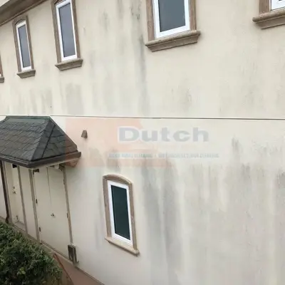 Soft Wash - Before #48