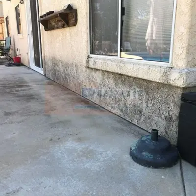 Soft Wash - Before #50