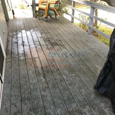 Soft Wash - Before #51