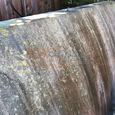 Soft Wash - Before #52