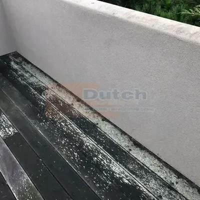 Soft Wash - Before #54