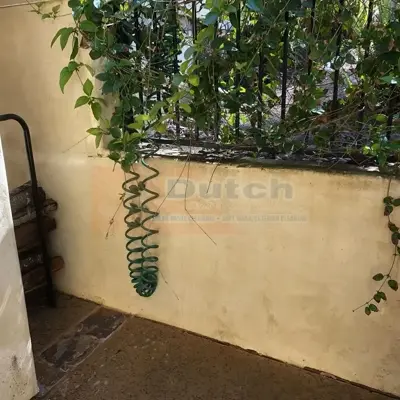 Soft Wash - After #65