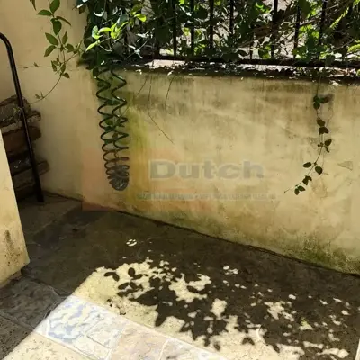 Soft Wash - Before #65