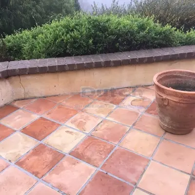 Soft Wash - After #66