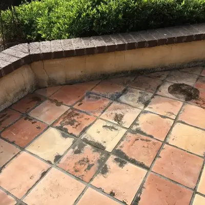 Soft Wash - Before #66