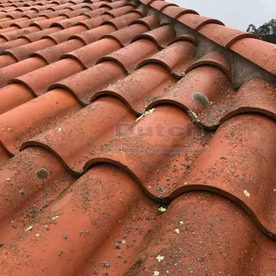 Consider Soft Wash Before Replacing Your Roof