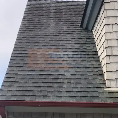 After Roof Cleaning in San Luis Obispo County Image